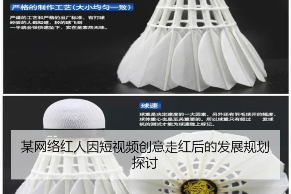 mou-wang-luo-hong-ren-yin-duan-shi-pin-chuang-yi-zou-hong-hou-de-fa-zhan-gui-hua-tan-tao-2-194.jpg